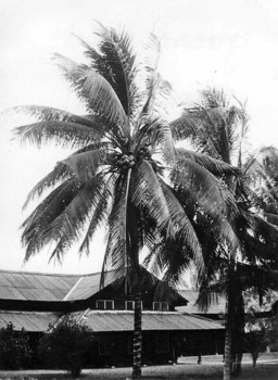  CI Pl (Malaya) Rasah Camp, Seremban 1964. 